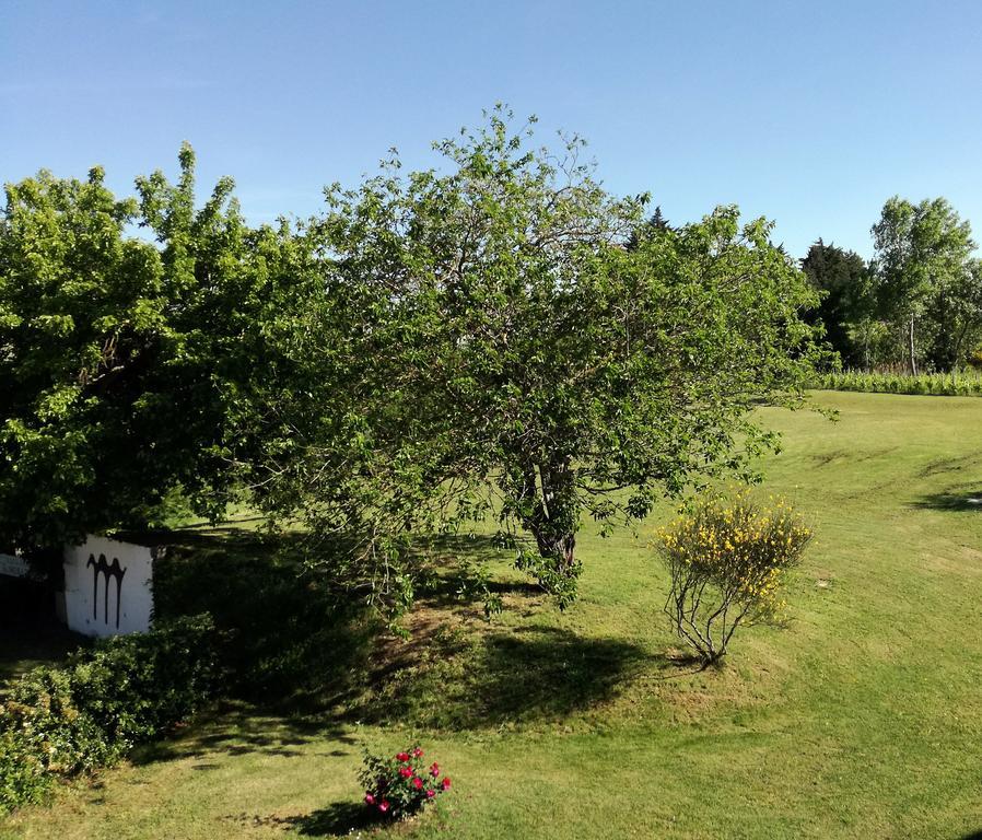 Agriturismo Morattina Castrocaro Terme Exteriér fotografie
